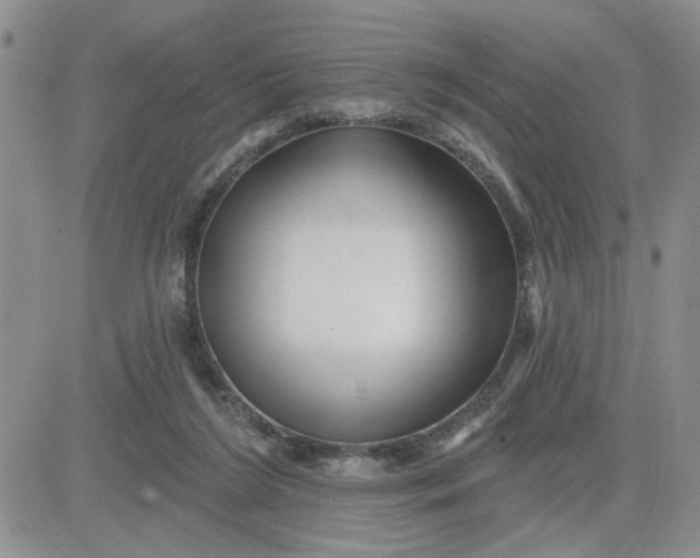 X0000081460212200701261946