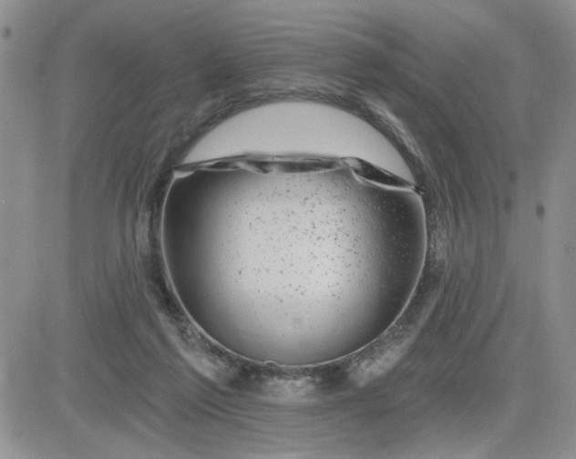 X0000081460213200701261946