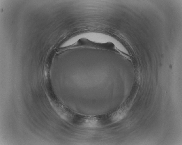 X0000081460214200701261946