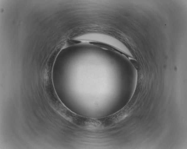 X0000081460215200701261946