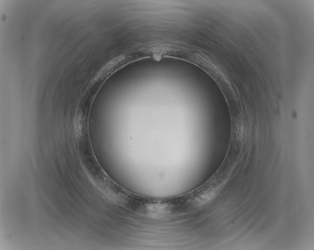 X0000081460216200701261946