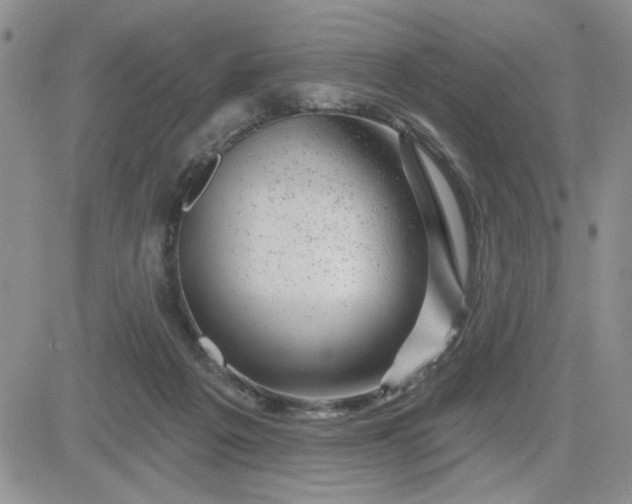 X0000081460217200701261946