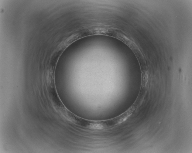 X0000081460218200701261946