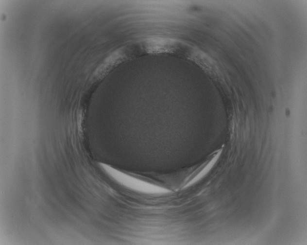 X0000081460219200701261946