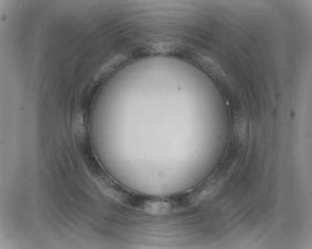 X0000081460220200701261946