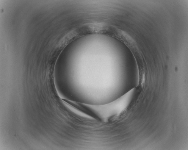 X0000081460221200701261946