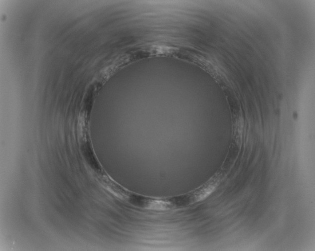 X0000081460222200701261946