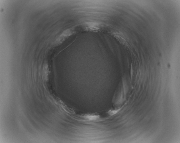 X0000081460223200701261946