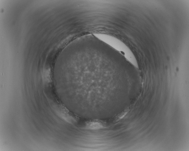 X0000081460224200701261946