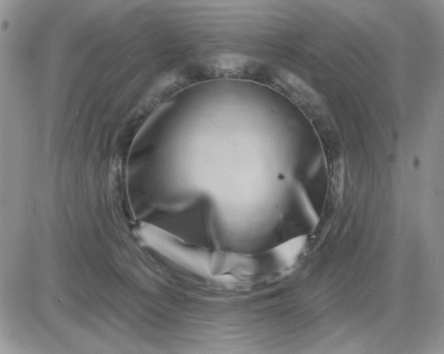 X0000081460225200701261946