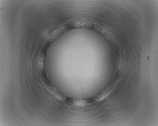 X0000081460226200701261946