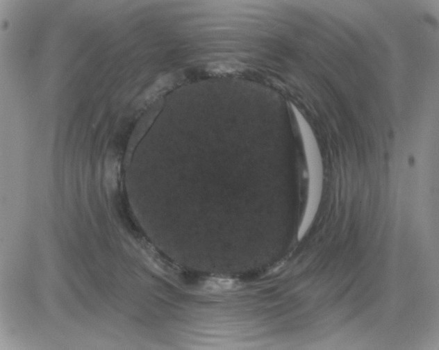 X0000081460227200701261946