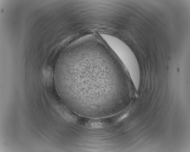 X0000081460228200701261946