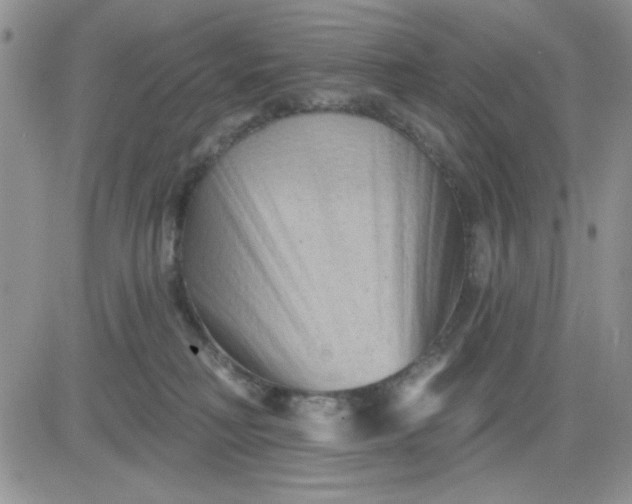 X0000081460230200701261946