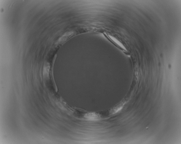 X0000081460231200701261946