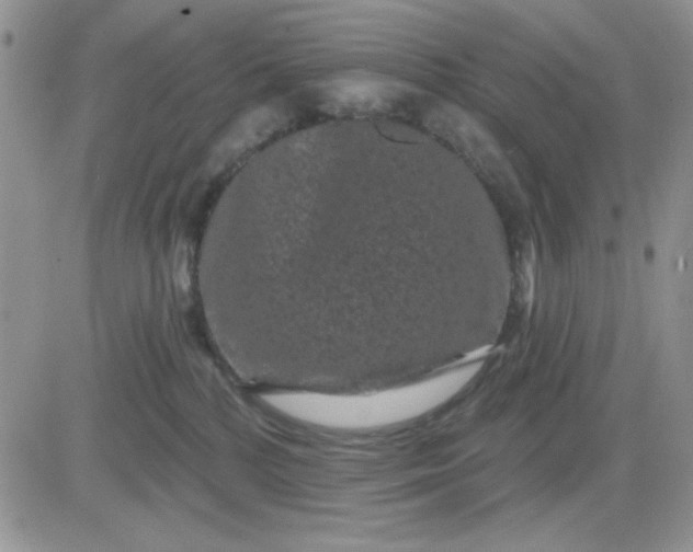 X0000081460232200701261946