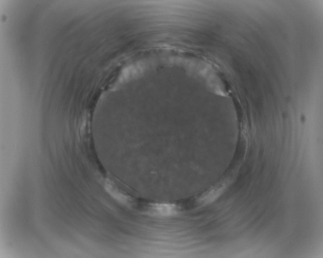 X0000081460233200701261946