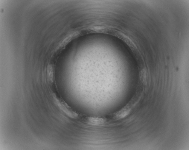 X0000081460234200701261946