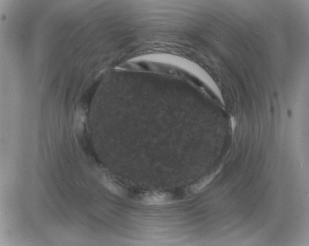 X0000081460235200701261946