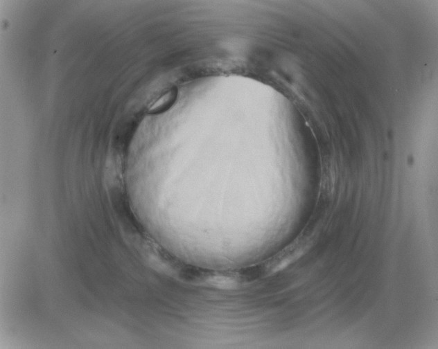 X0000081460236200701261946