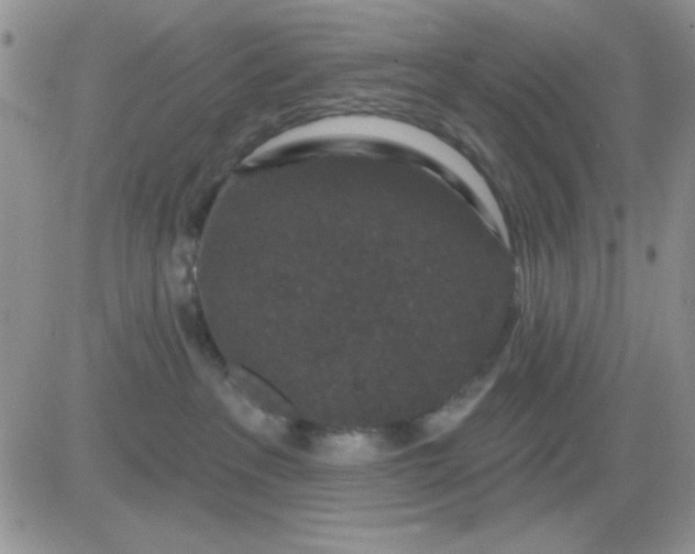 X0000081460237200701261946