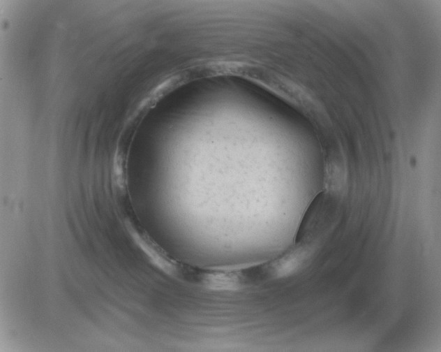 X0000081460238200701261946