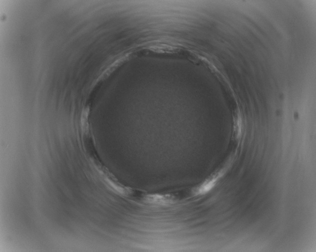 X0000081460239200701261945