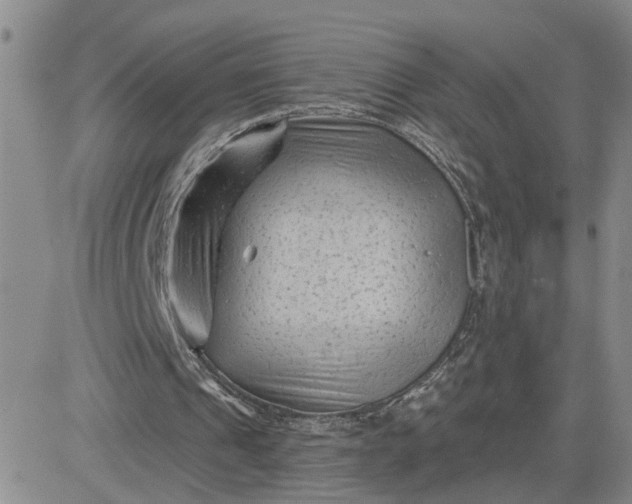 X0000081460241200701261945