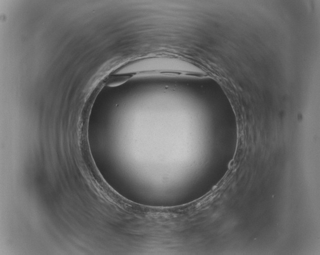 X0000081460242200701261945