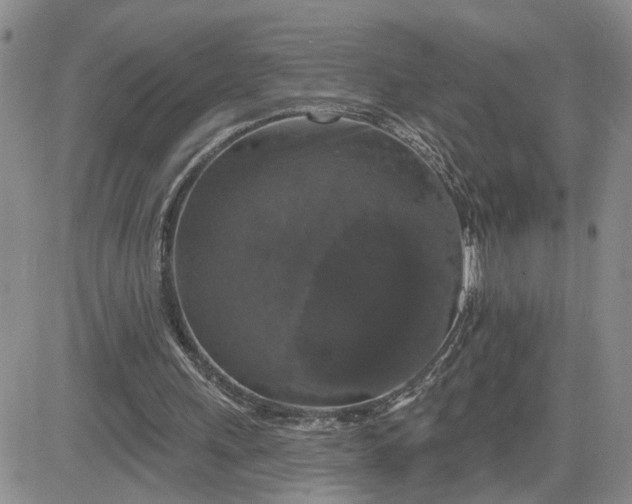 X0000081460243200701261945