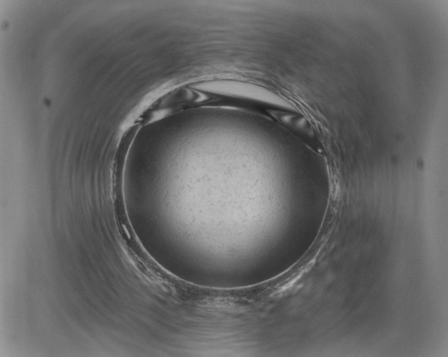 X0000081460244200701261945