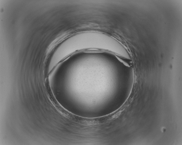 X0000081460245200701261945