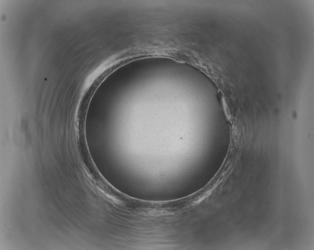 X0000081460246200701261945