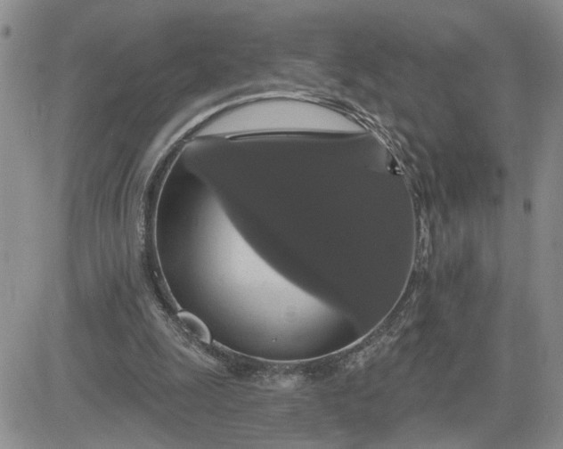 X0000081460247200701261945