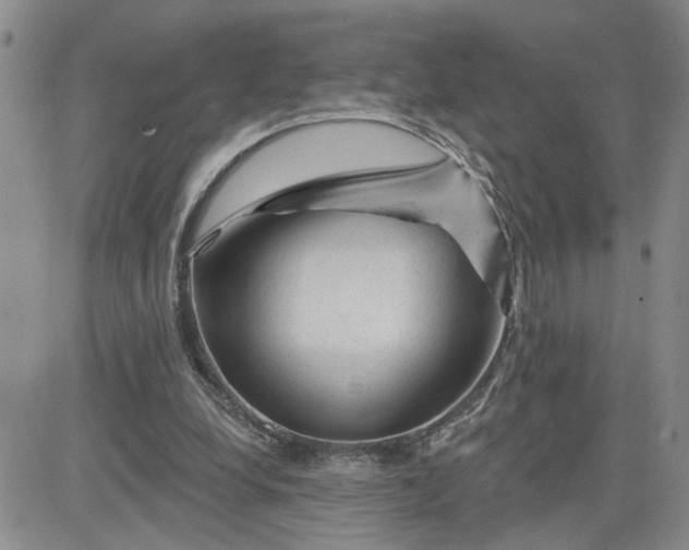 X0000081460248200701261945