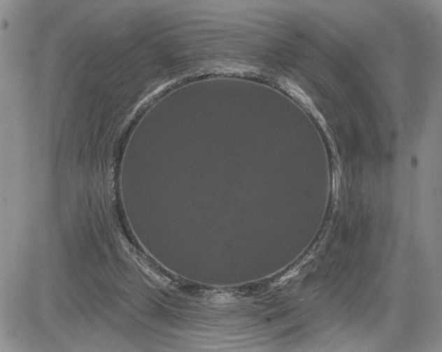 X0000081460249200701261945