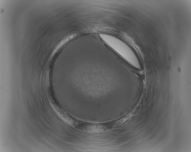 X0000081460250200701261945