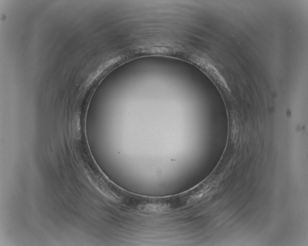 X0000081460251200701261945