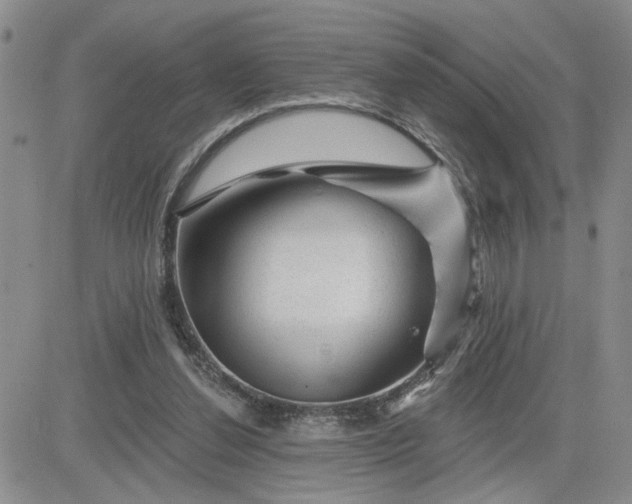 X0000081460252200701261945