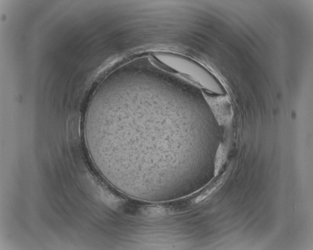 X0000081460253200701261945