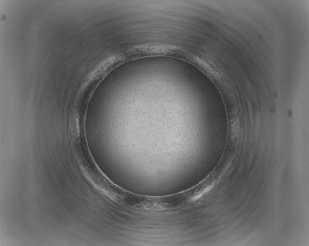 X0000081460254200701261945