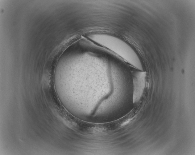 X0000081460255200701261945