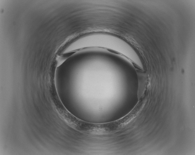 X0000081460256200701261945