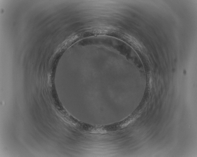 X0000081460258200701261945