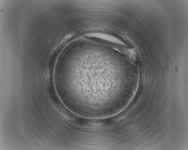 X0000081460260200701261945