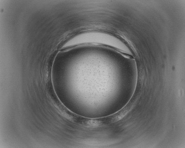 X0000081460261200701261945