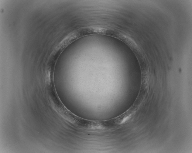 X0000081460262200701261945