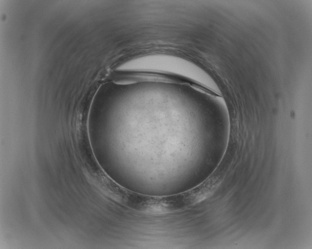 X0000081460263200701261945