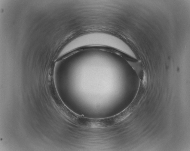 X0000081460264200701261945