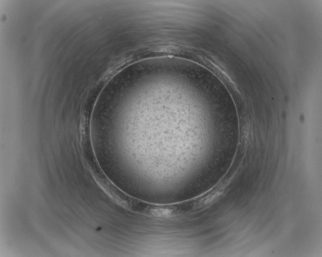 X0000081460265200701261945